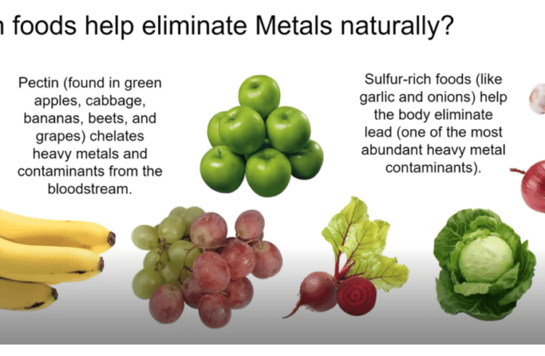 Eliminate Heavy Metals Naturally in Jacksonville